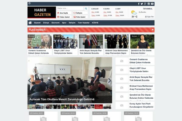 Thehaber theme site design template sample