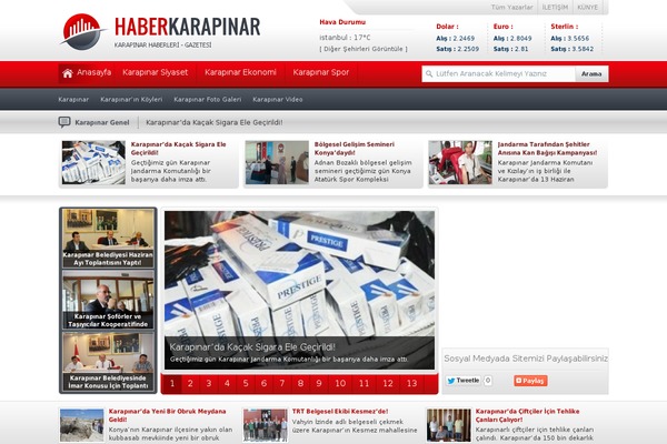 Tema theme site design template sample