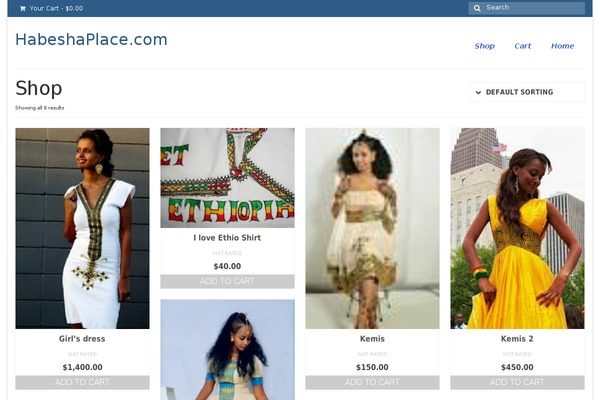 Virtue theme site design template sample