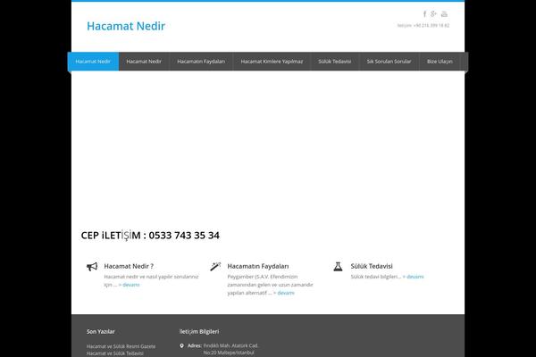 Nevia theme site design template sample