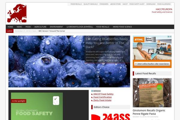 MH Magazine theme site design template sample