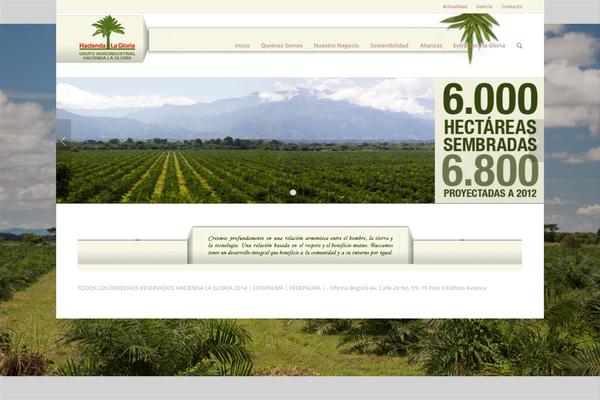 Enfold theme site design template sample