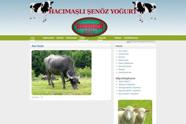 illustrative theme site design template sample