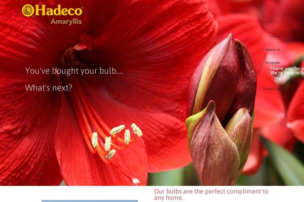 Site using Bdthemes-element-pack-lite plugin