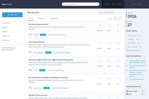 QAEngine theme site design template sample