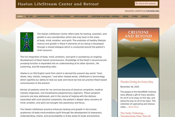 Metro Pro theme site design template sample