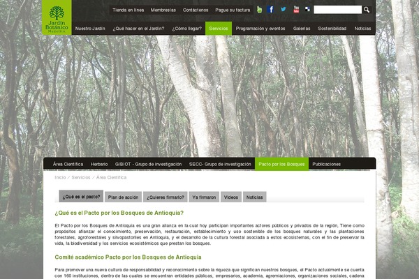 Forked theme site design template sample