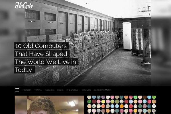 allday WordPress theme, websites list used allday theme allday theme websites examples
