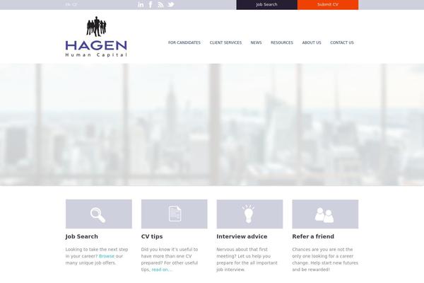 Metrolium theme site design template sample