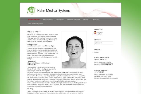 Site using qTranslate plugin