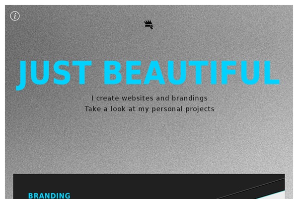 hahnsinn.com site used Hahnsinn