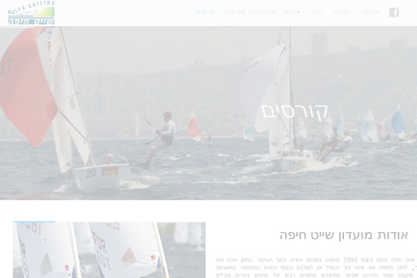 Twicet theme site design template sample