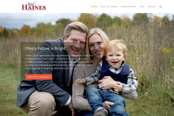 THBusiness theme site design template sample