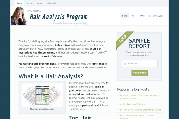 Focus theme site design template sample
