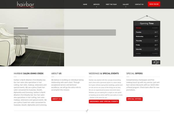 HairPress theme site design template sample