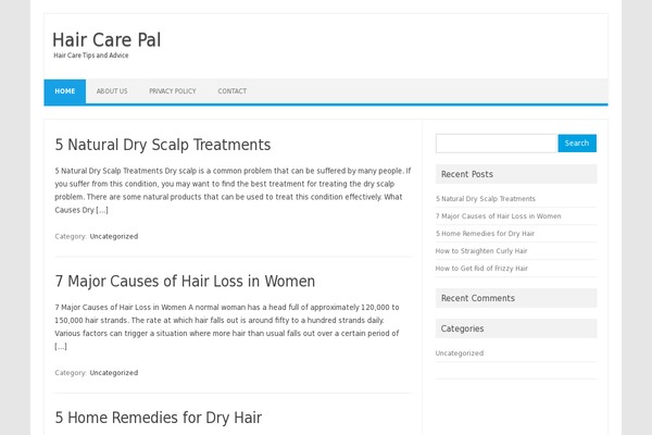 Iconic One theme site design template sample