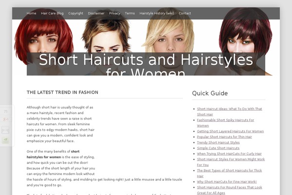 haircutsguide.com site used deLighted