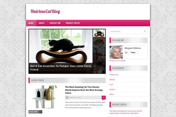 Megamag theme site design template sample