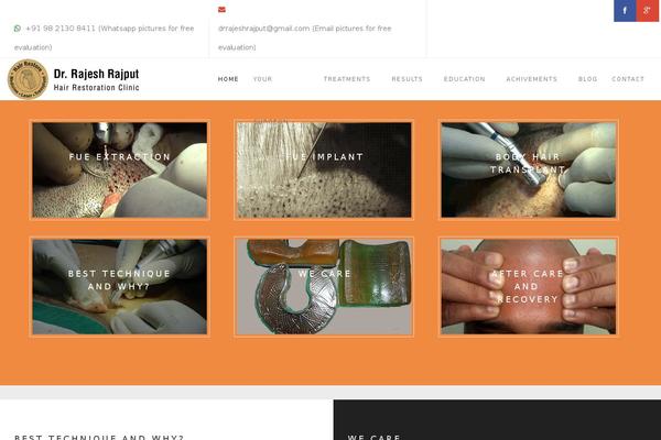 Alterna theme site design template sample