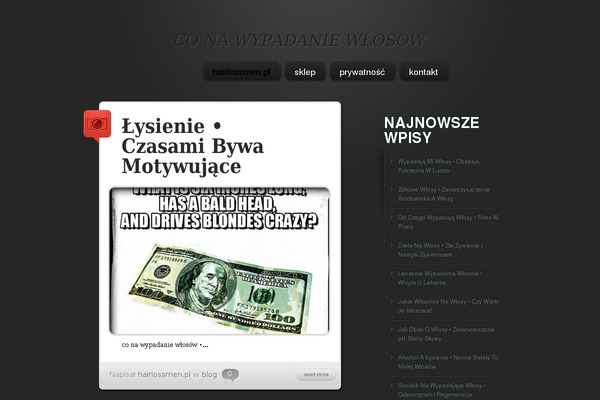 Themify-corporate theme site design template sample