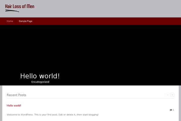 P1-video-magnet theme site design template sample