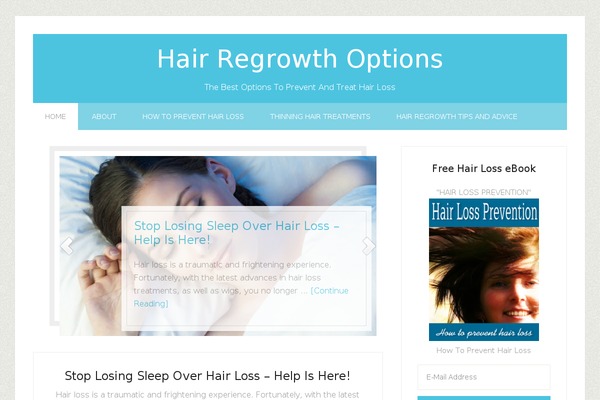 Lifestyle Pro theme site design template sample