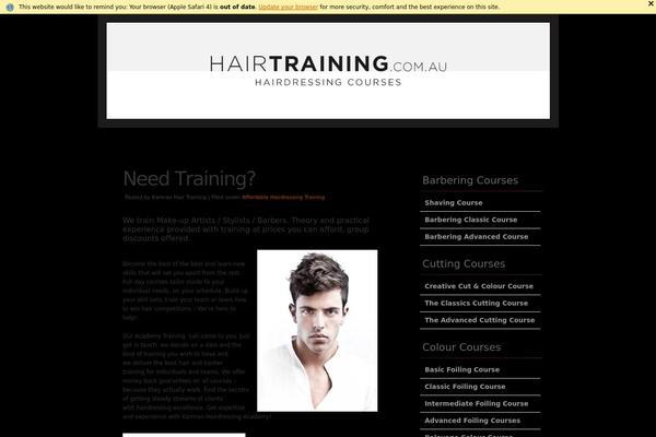 Colourise theme site design template sample
