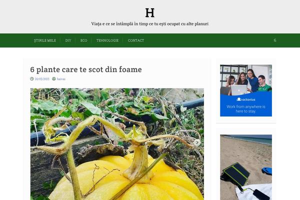 Site using Reduce Bounce Rate plugin