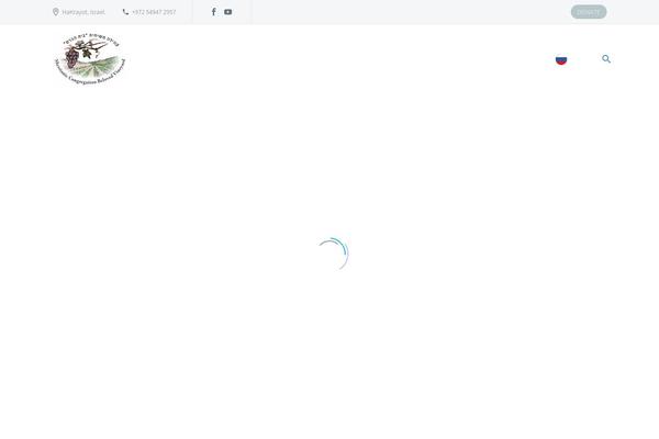 Site using Thegem-elements plugin