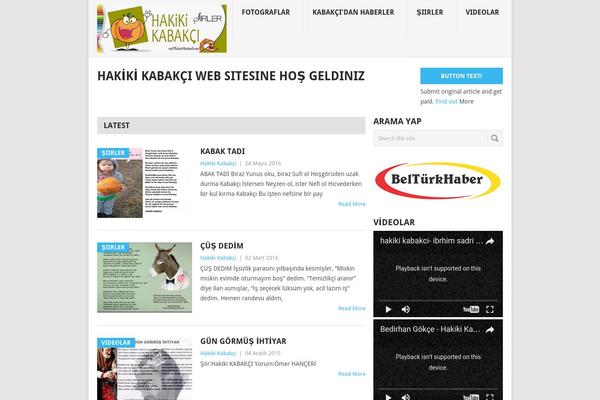 Point theme site design template sample