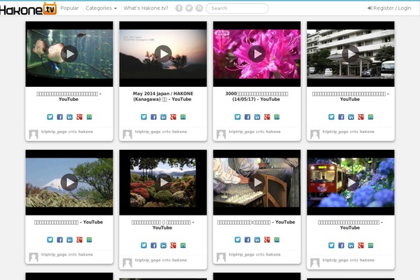 Pinclone theme site design template sample