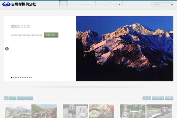 Site using Google Language Translator plugin