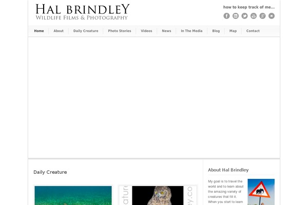 Modernize v3.13 theme site design template sample