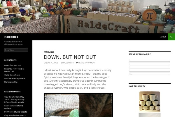 Site using Alpine PhotoTile for Instagram plugin