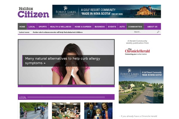 All News theme site design template sample