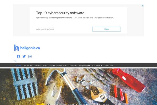 Site using Ad-ace plugin