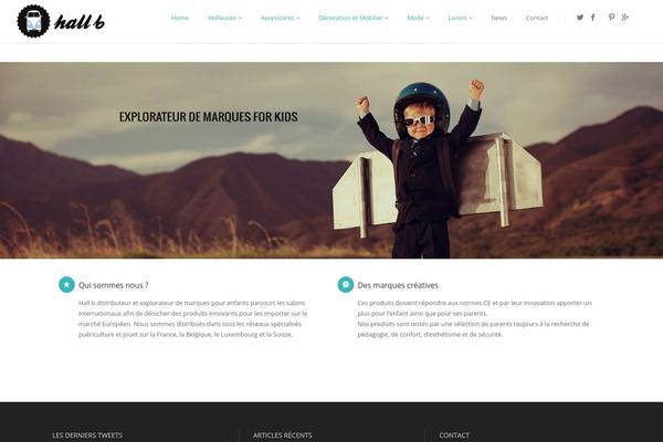 Sonec theme site design template sample