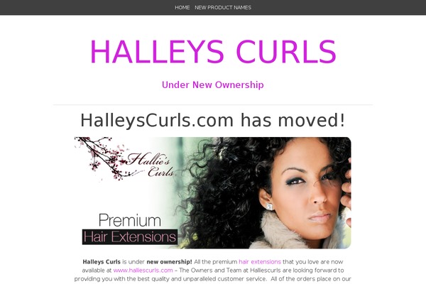 Bold Headline theme site design template sample