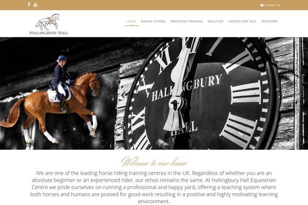 Site using Best-logo-slider-pro plugin