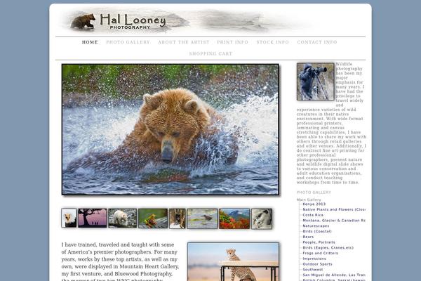 Brunelleschi theme site design template sample