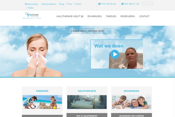 SoulMedic theme site design template sample