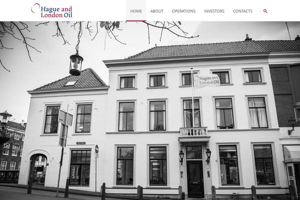 Solveto theme site design template sample
