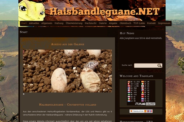 MT dark theme site design template sample
