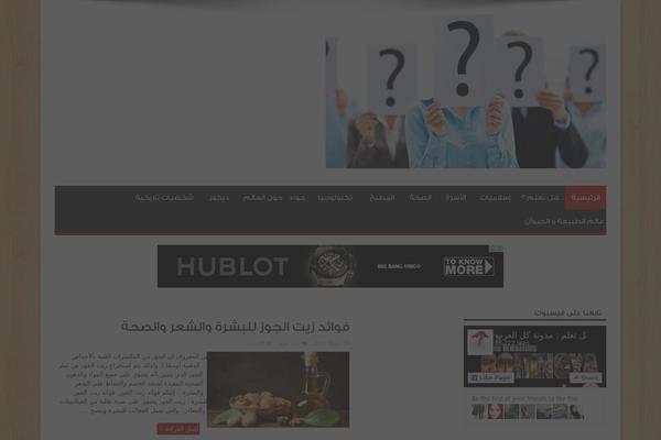 Sahifa theme site design template sample