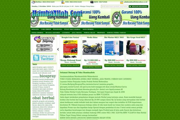 Indostore4-2client theme site design template sample