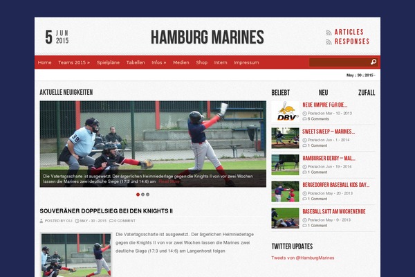Reporter theme site design template sample