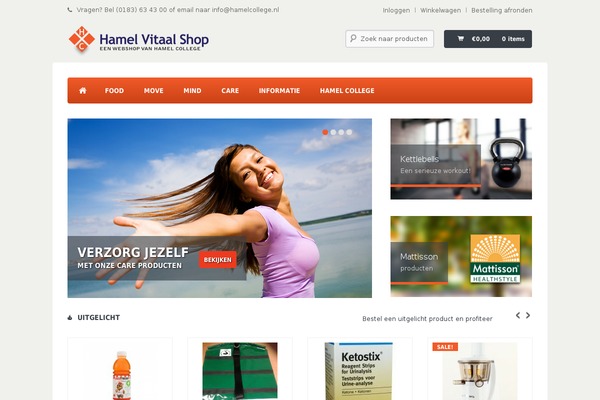 Proffet theme site design template sample