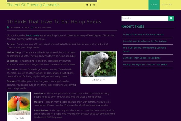 Dazzling theme site design template sample