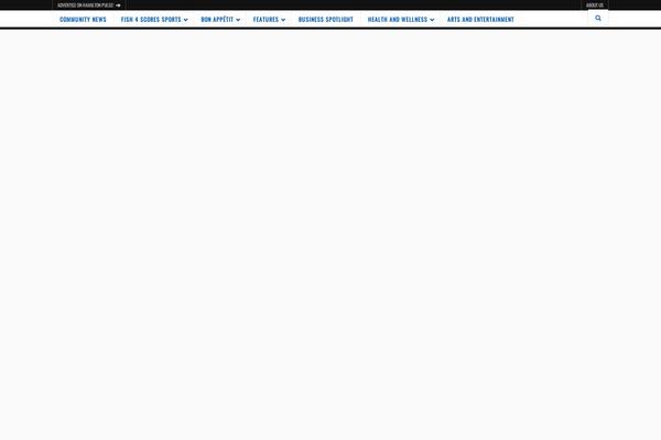 Snews theme site design template sample