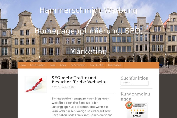 Mace theme site design template sample